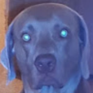 Meet your Posher, Teddi